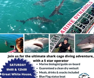 Next Shark Cage Diving Trip: 11 May 2024