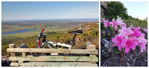 Lomond Guided E-Bike Tours