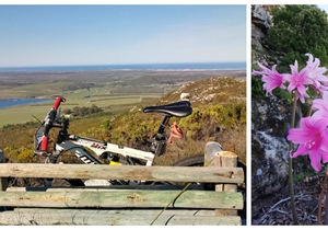 Lomond Guided E-Bike Tours