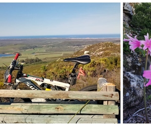 Lomond Guided E-Bike Tours