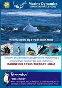 Next Dyer Island Marine Big 5 Tour: 14 May 2024