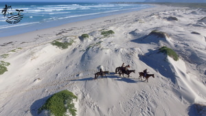 Unforgettable Horse Riding Experience in South Africa