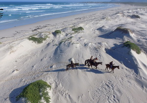 Unforgettable Horse Riding Experience in South Africa