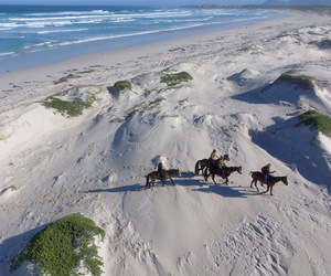 Unforgettable Horse Riding Experience in South Africa