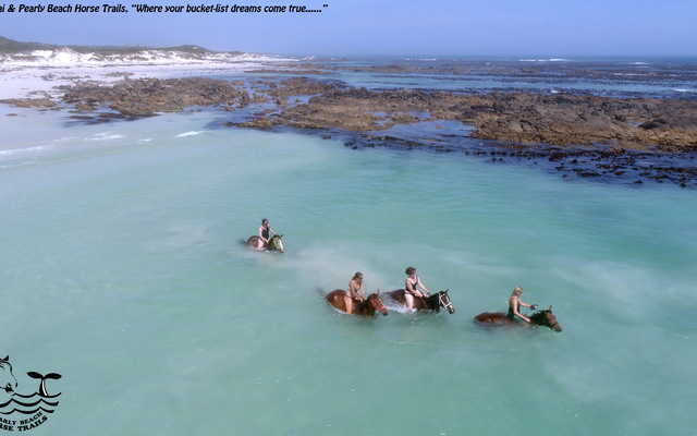 DJI_0070_1_1715596990 DJI_0070_1_1715596990