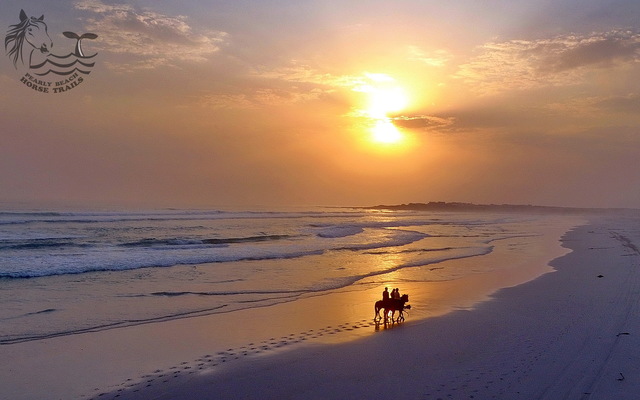 DJI_0080_1_labels_1715596991 DJI_0080_1_labels_1715596991