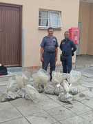 641 Onwettige Perlemoen in Gansbaai