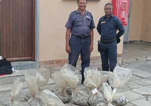 641 Onwettige Perlemoen in Gansbaai