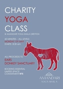 Charity Yoga Success: Maja Raised R400!