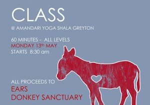 Charity Yoga Success: Maja Raised R400!