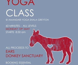 Charity Yoga Success: Maja Raised R400!