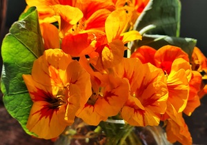 Embrace the Present: Action Over Anxiety