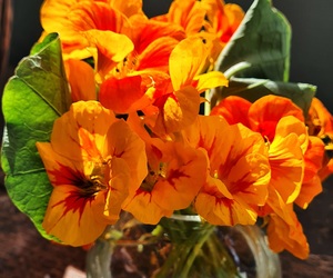 Embrace the Present: Action Over Anxiety