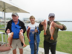 Volop Hangbergers en Silwervis in Gansbaai