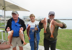 Volop Hangbergers en Silwervis in Gansbaai
