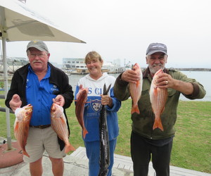 Volop Hangbergers en Silwervis in Gansbaai