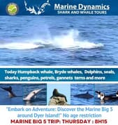 Next Marine Big 5 Eco Tour: 16 May 2024