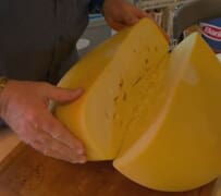 Matured Fontina Cheese