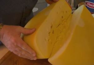 Matured Fontina Cheese
