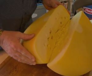 Matured Fontina Cheese