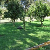 BirdSong Cottage at Town and Country