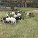 BirdSong Cottage at Town and Country