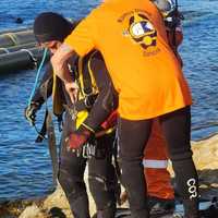 Diving Services - Gamco Services - Xplorio™ Gansbaai