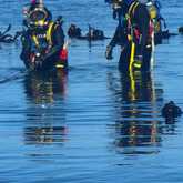 Diving Services - Gamco Services - Xplorio™ Gansbaai