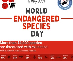 17 May 2024: World Endangered Species Day