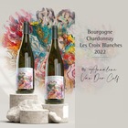 Le Crois Blanches by Ànnalene van der Colff - Gallery Art by Annalene - Xplorio™ Gansbaai