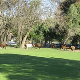  Caledon - Town & Country Apartment