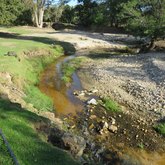  Caledon - Town & Country Apartment