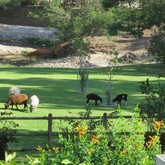  Caledon - Town & Country Apartment