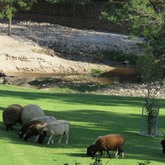  Caledon - Town & Country Apartment