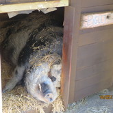  Caledon - Town & Country Apartment