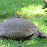  Caledon - Town & Country Apartment