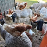  Caledon - Town & Country Apartment