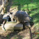  Caledon - Town & Country Apartment