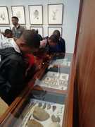 Earth Rangers Field Trip