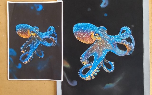 7cc34745_ba10_4644_95ad_8d16e45c144a_1716194317