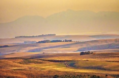 Chas_Everitt_Cape_Agulhas_1__1716203247