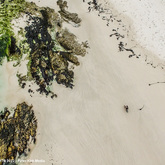 Beaches - Chas Everitt Cape Agulhas - Xplorio™ L'Agulhas / Struisbaai