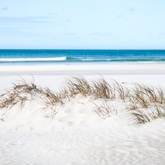 Struisbaai Plaat - Chas Everitt Cape Agulhas - Xplorio™ L'Agulhas / Struisbaai