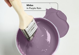 Purple Rain: Lively Accent Wall Colour