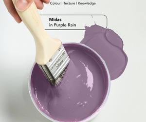 Purple Rain: Lively Accent Wall Colour