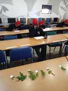 Grootbos Foundation Horticulture Update