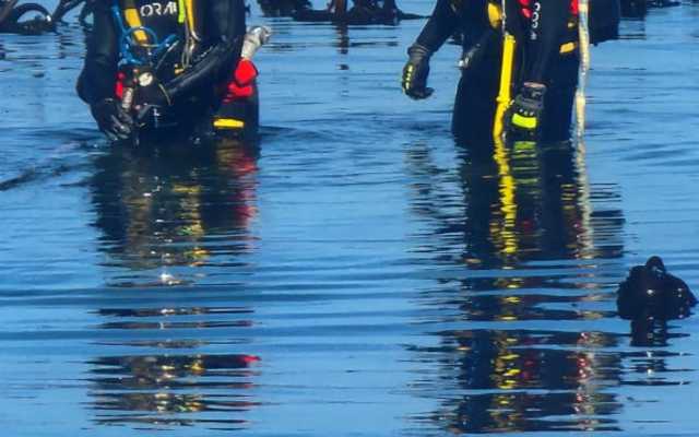 0df10f13_3fbd_4200_bac6_878e0ca6eca9_1716361076