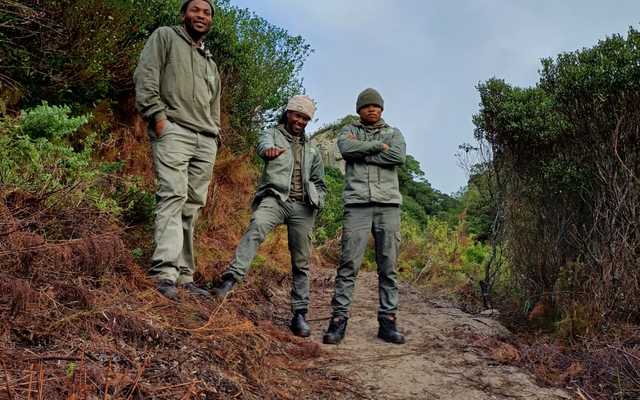 0f6737c8_dd44_4517_b47d_672e8043e7fc_1_1716446115