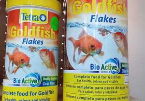 Pet Fish Supplies in Gansbaai