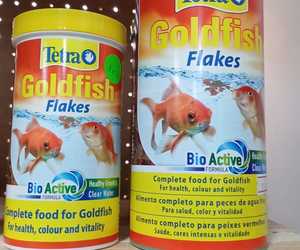 Pet Fish Supplies in Gansbaai